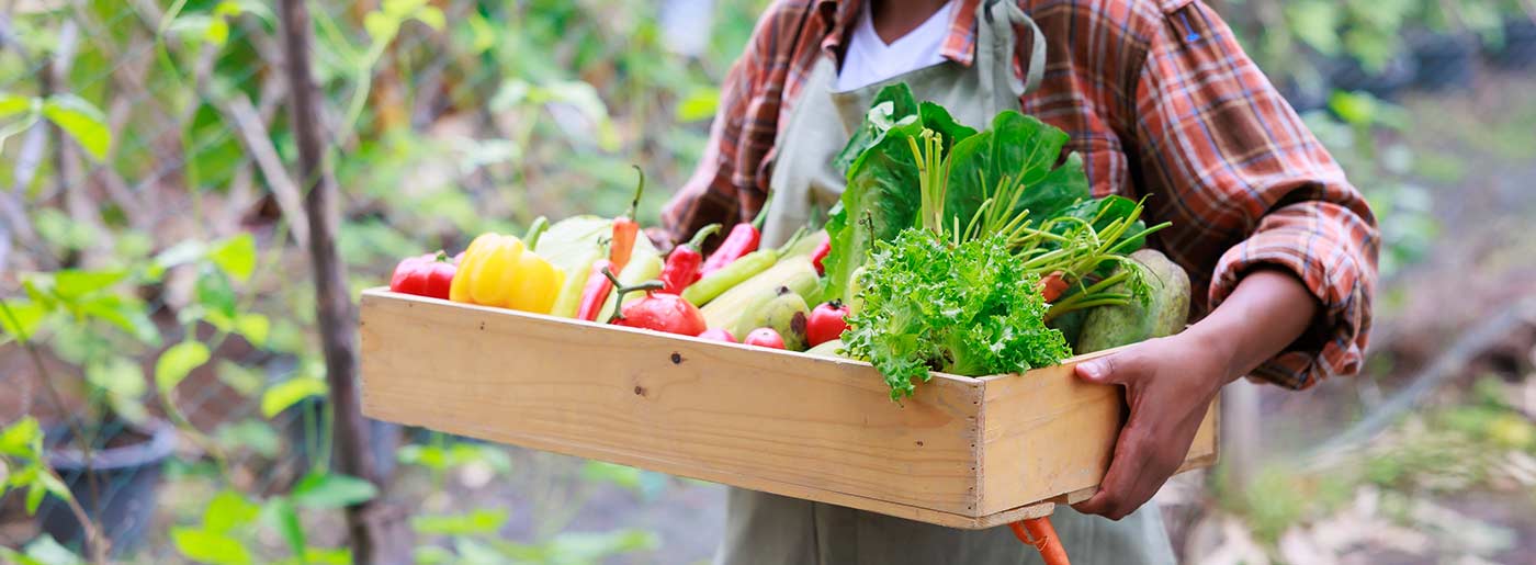 agriculture-grade-4.jpg